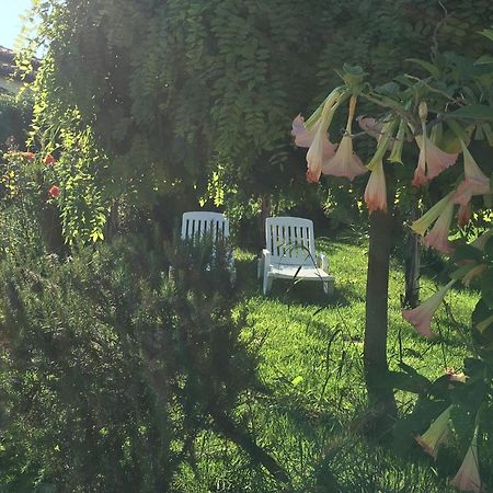 B&B A Casa Di Picci Santa Domenica  Eksteriør billede