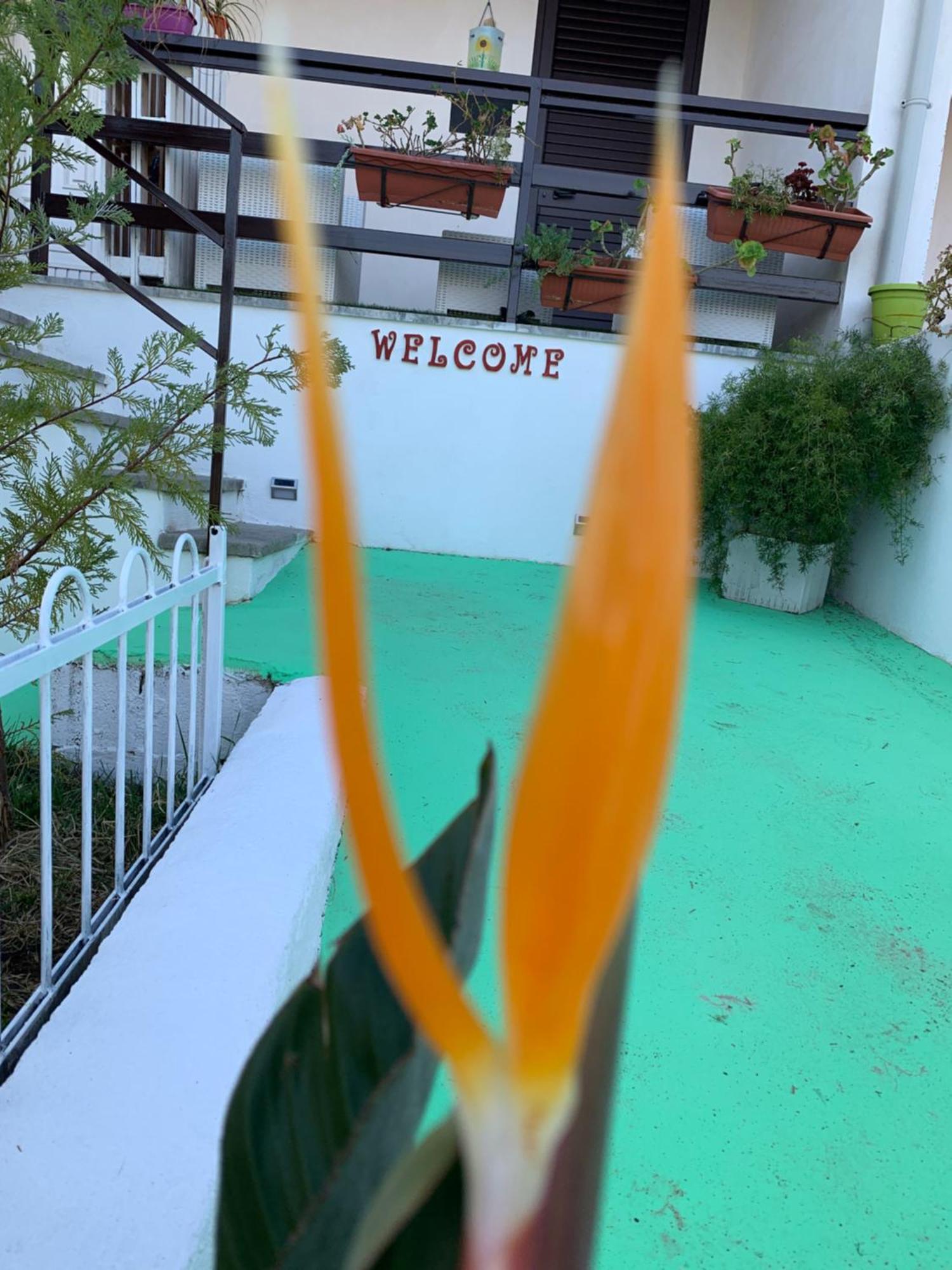 B&B A Casa Di Picci Santa Domenica  Eksteriør billede