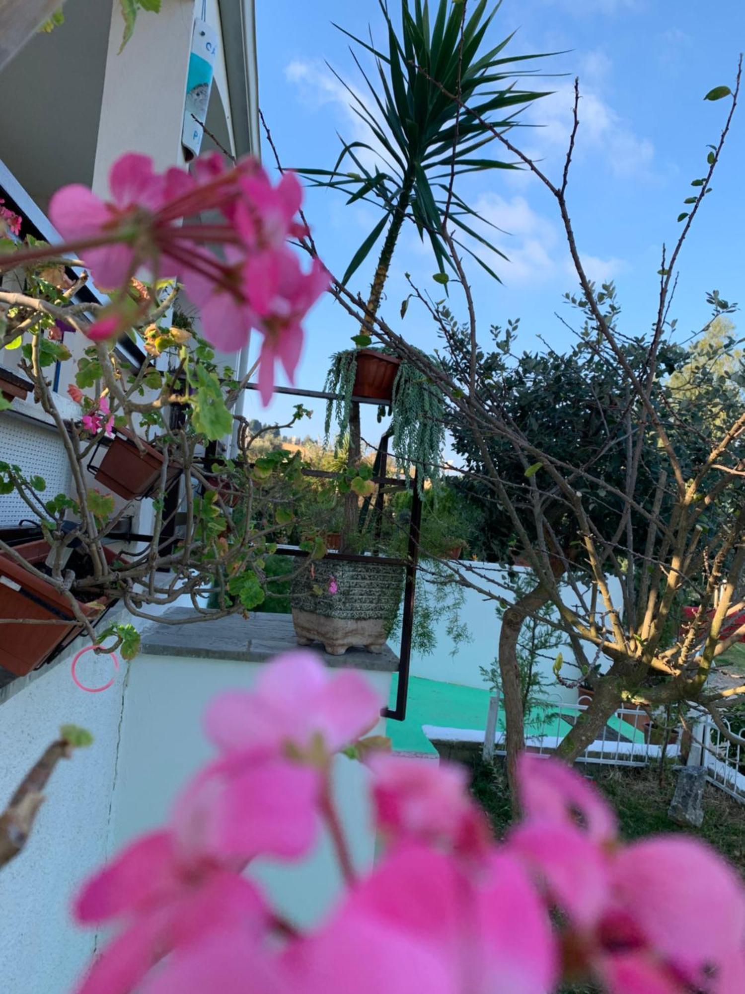 B&B A Casa Di Picci Santa Domenica  Eksteriør billede
