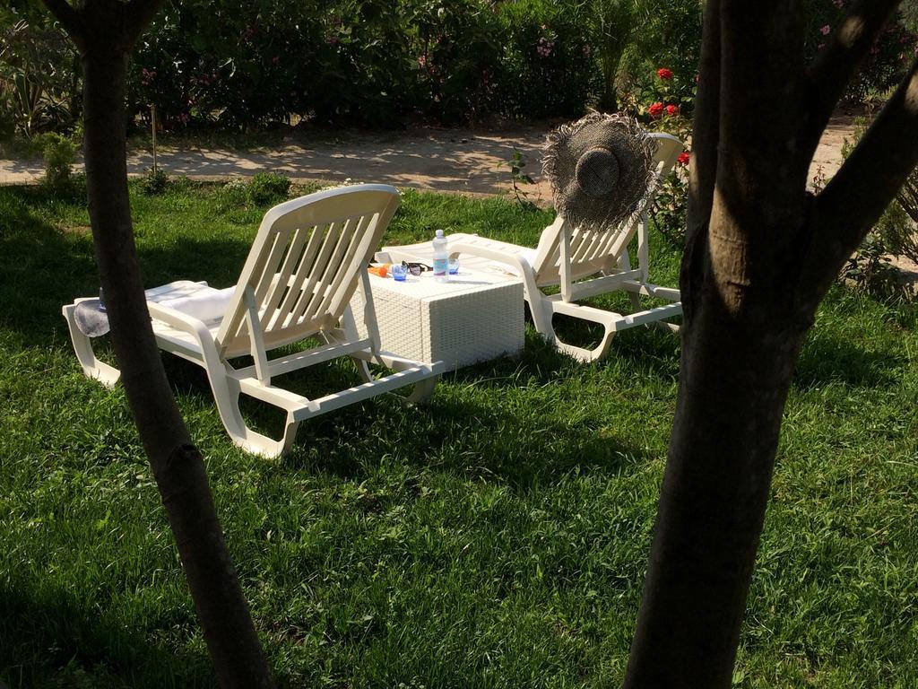 B&B A Casa Di Picci Santa Domenica  Eksteriør billede