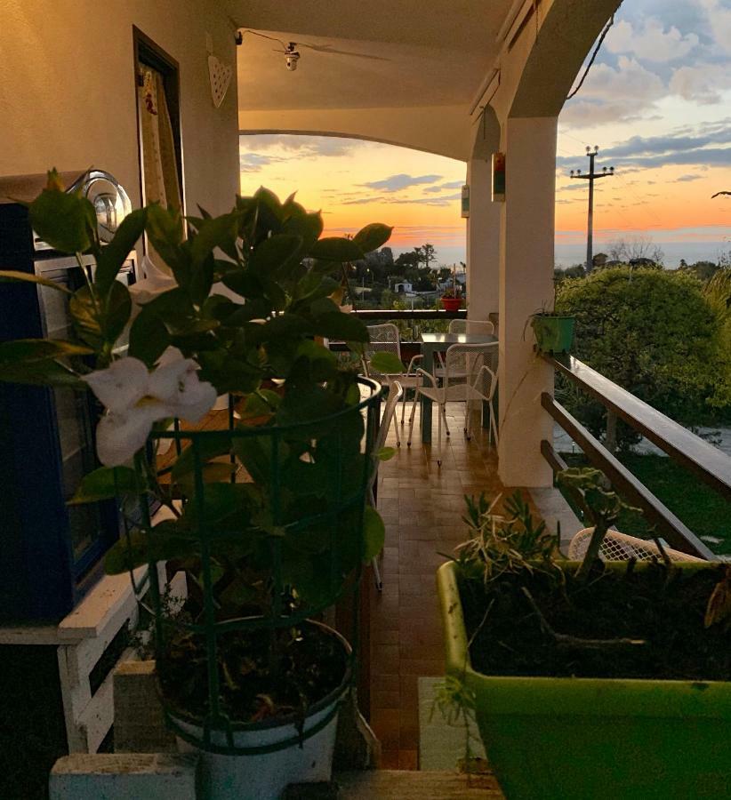 B&B A Casa Di Picci Santa Domenica  Eksteriør billede