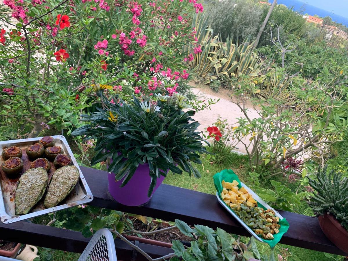 B&B A Casa Di Picci Santa Domenica  Eksteriør billede